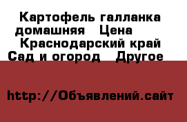 Картофель галланка домашняя › Цена ­ 25 - Краснодарский край Сад и огород » Другое   
